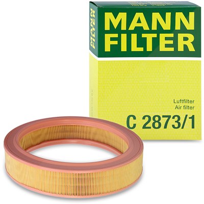 Mann-filter Luftfilter [Hersteller-Nr. C2873/1] für Seat, Skoda, VW von MANN-FILTER