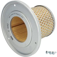 Sekundärluftfilter MANN-FILTER C 1342 von Mann-Filter