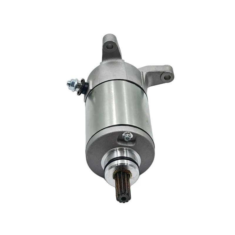 Motorrad-Motorstarter Für Suzuki ATV Ozark 250 Quadrunner 160 230 Quadsport 250 31100-02C01 31100-02C02 Starter Motor Montage 31100-02C10 Motorrad-Starter von MAYINGLON