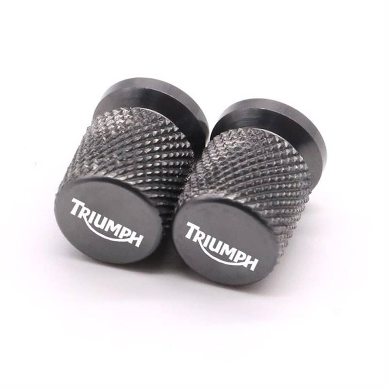 Motorrad Radreifen Ventilkappe, CNC Aluminiumschaft Luftanschluss Abdeckungsstecker Für Triumph Tiger 900/850 Street/Speed Triple Daytona 675,Blue von MCLLDAO