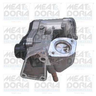 Meat & Doria AGR-Ventil [Hersteller-Nr. 88114] für Audi, Skoda, VW von MEAT & DORIA