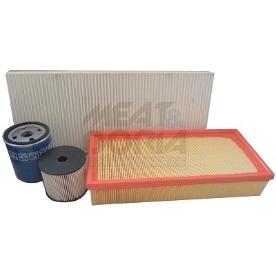 Meat & Doria Filter-Satz [Hersteller-Nr. FKFIA201] für Alfa Romeo, Citroën, Fiat, Nissan, Suzuki von MEAT & DORIA