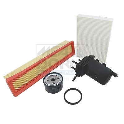 Meat & Doria Filter-Satz [Hersteller-Nr. FKREN001] für Mitsubishi, Nissan, Opel, Renault, Suzuki von MEAT & DORIA