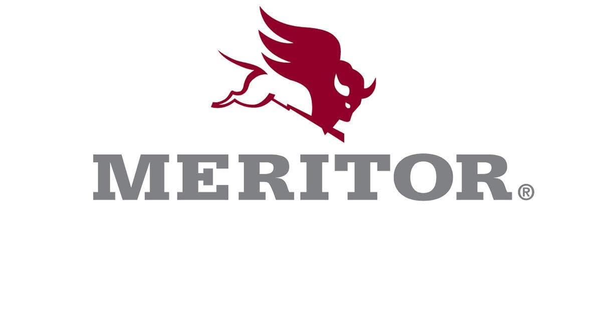 Meritor Genuine 3133K8123F Vorderachse Lenkarm Meritor Genuine 3133K8123F Vorderachse Lenkarm von MERITOR