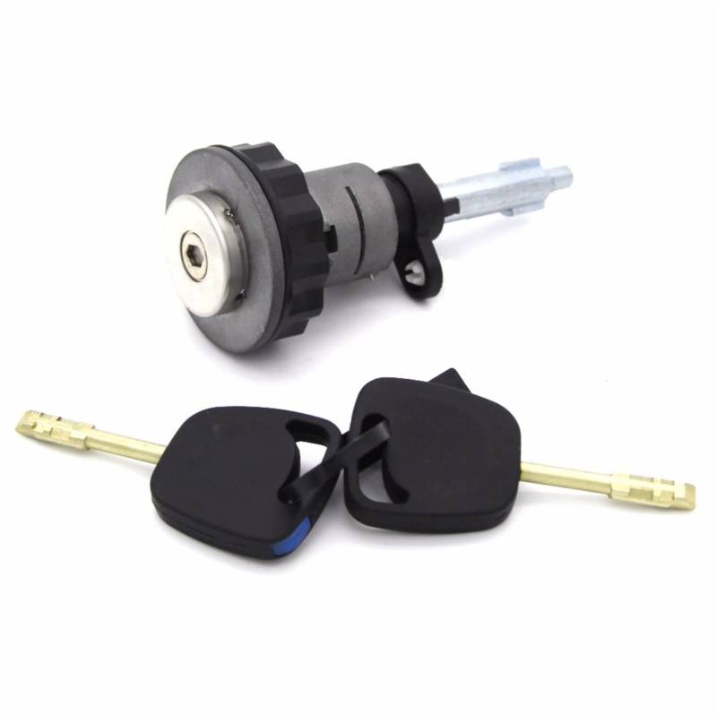 MEXWLOP 98FU A22050 CDPM, for Ford, for Fiesta, Street Hatch 1999-2002 STAMMRÜCKVERRIEGELUNGSZYLINDER MIT 2 SCHLÜSSELN von MEXWLOP