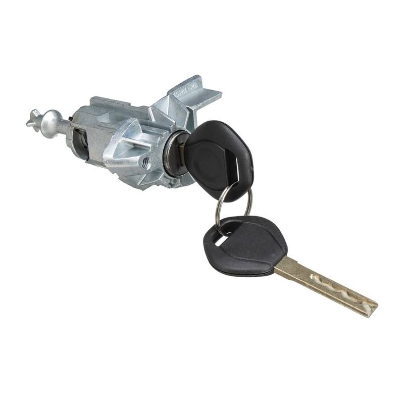 MEXWLOP Auto Links Fahrer Türschloss Zylinder Barrel Montage Mit 2 Schlüssel, for, X5 E53 2000 2001 2002 2003 2004 2005 2006 51217035421 von MEXWLOP