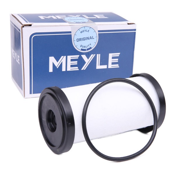 MEYLE Getriebeölfilter VW,AUDI,SKODA 100 136 0003 02E305051B,02E305051C,02E305051D 02E398051,MHF0012,02E305051B,02E305051C,02E305051D,02E398051 von MEYLE