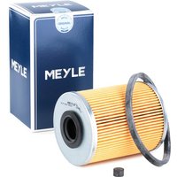 MEYLE Kraftstofffilter ORIGINAL Quality 614 818 0000 Leitungsfilter,Spritfilter OPEL,SAAB,VAUXHALL,Corsa D Schrägheck (S07),ZAFIRA B (A05) MEYLE Kraftstofffilter ORIGINAL Quality 614 818 0000 Leitungsfilter,Spritfilter OPEL,SAAB,VAUXHALL,Corsa D Schrägheck (S07),ZAFIRA B (A05) von MEYLE