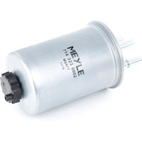 MEYLE Kraftstofffilter ORIGINAL Quality 714 323 0002 Leitungsfilter,Spritfilter FORD,HYUNDAI,KIA,MONDEO III Kombi (BWY),FOCUS Kombi (DNW) MEYLE Kraftstofffilter ORIGINAL Quality 714 323 0002 Leitungsfilter,Spritfilter FORD,HYUNDAI,KIA,MONDEO III Kombi (BWY),FOCUS Kombi (DNW) von MEYLE