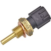 MEYLE Kühlmitteltemperatursensor MEYLE-ORIGINAL: True to OE. mit Dichtring 16-14 821 0006 Kühlmittelsensor,Kühlmitteltemperatur-Sensor MEYLE Kühlmitteltemperatursensor MEYLE-ORIGINAL: True to OE. mit Dichtring 16-14 821 0006 Kühlmittelsensor,Kühlmitteltemperatur-Sensor von MEYLE