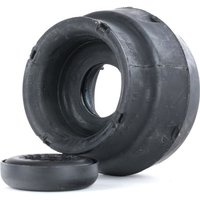 MEYLE Reparatursatz, Federbeinstützlager ORIGINAL Quality 100 412 0019/S VW,AUDI,SKODA,Golf IV Schrägheck (1J1),Polo Schrägheck (6R1, 6C1) MEYLE Reparatursatz, Federbeinstützlager ORIGINAL Quality 100 412 0019/S VW,AUDI,SKODA,Golf IV Schrägheck (1J1),Polo Schrägheck (6R1, 6C1) von MEYLE