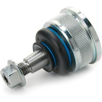 MEYLE Traggelenk Quality 316 010 0003/HD Trag- / Führungsgelenk,Achsgelenk BMW,3 Limousine (E46),3 Touring (E46),3 Cabrio (E36),3 Coupe (E46) MEYLE Traggelenk Quality 316 010 0003/HD Trag- / Führungsgelenk,Achsgelenk BMW,3 Limousine (E46),3 Touring (E46),3 Cabrio (E36),3 Coupe (E46) von MEYLE