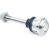 MEYLE Traggelenk Quality 316 010 4305/HD Trag- / Führungsgelenk,Achsgelenk BMW,3 Limousine (E46),3 Touring (E46),3 Coupe (E46),Z4 Roadster (E85) MEYLE Traggelenk Quality 316 010 4305/HD Trag- / Führungsgelenk,Achsgelenk BMW,3 Limousine (E46),3 Touring (E46),3 Coupe (E46),Z4 Roadster (E85) von MEYLE