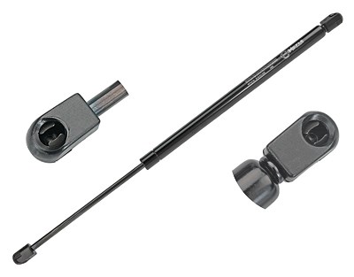 Meyle Gasfeder, Koffer-/Laderaum [Hersteller-Nr. 30-409100032] für Toyota von MEYLE