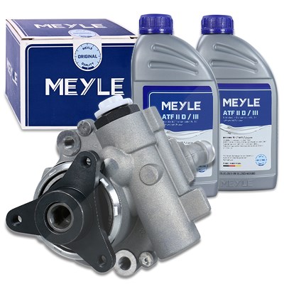 Meyle Hydraulikpumpe, Lenkung [Hersteller-Nr. 16-146310001/S] für Nissan, Opel, Renault von MEYLE