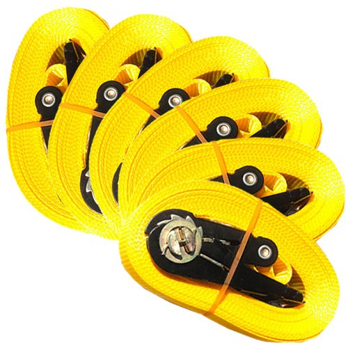 6 SPANNGURTE 4 m mit ZURRRATSCHE 0,8 t EN-12195-2 Zurrgurte 4m (Gelb) von MGS SHOP