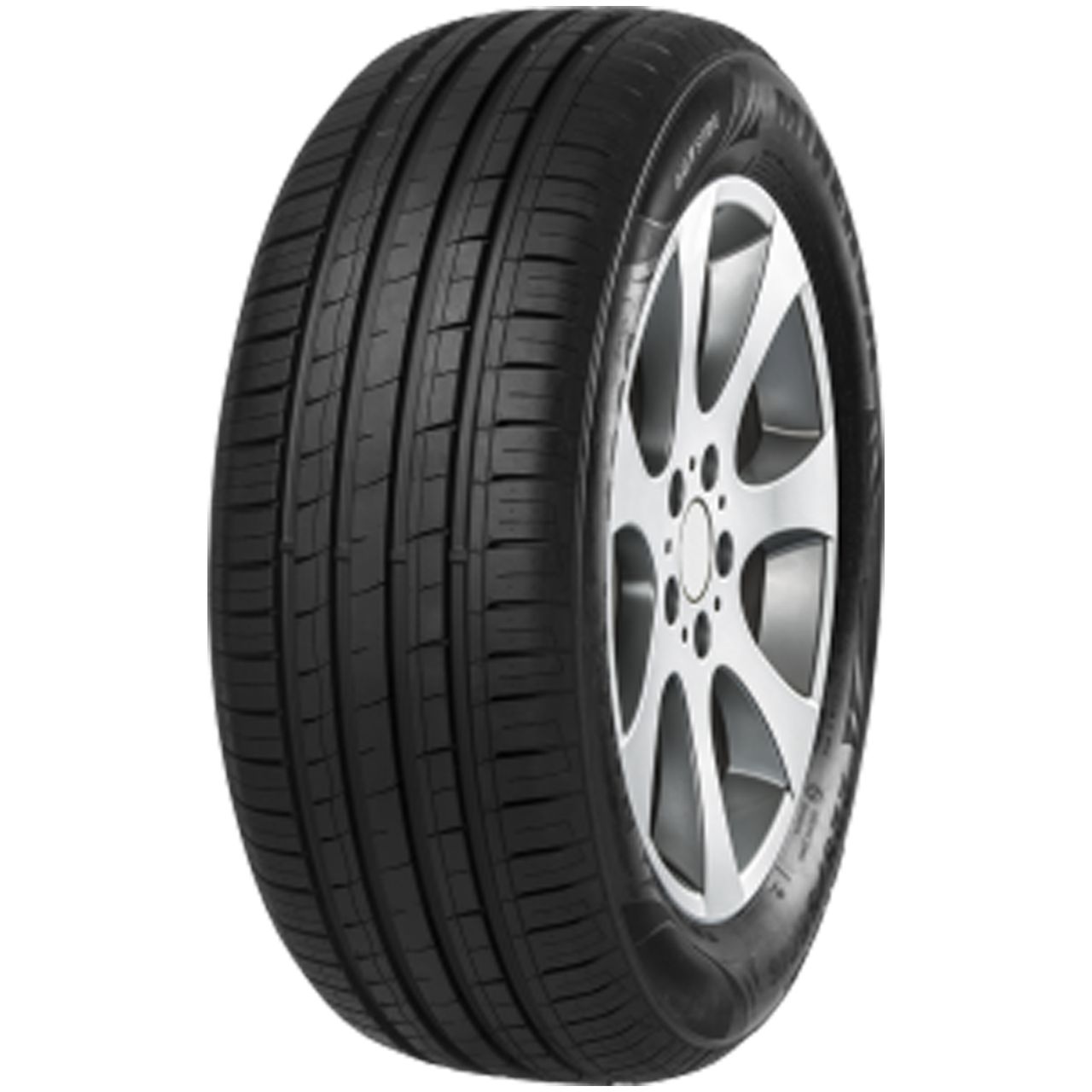 MINERVA F209 195/50R16 84V von MINERVA