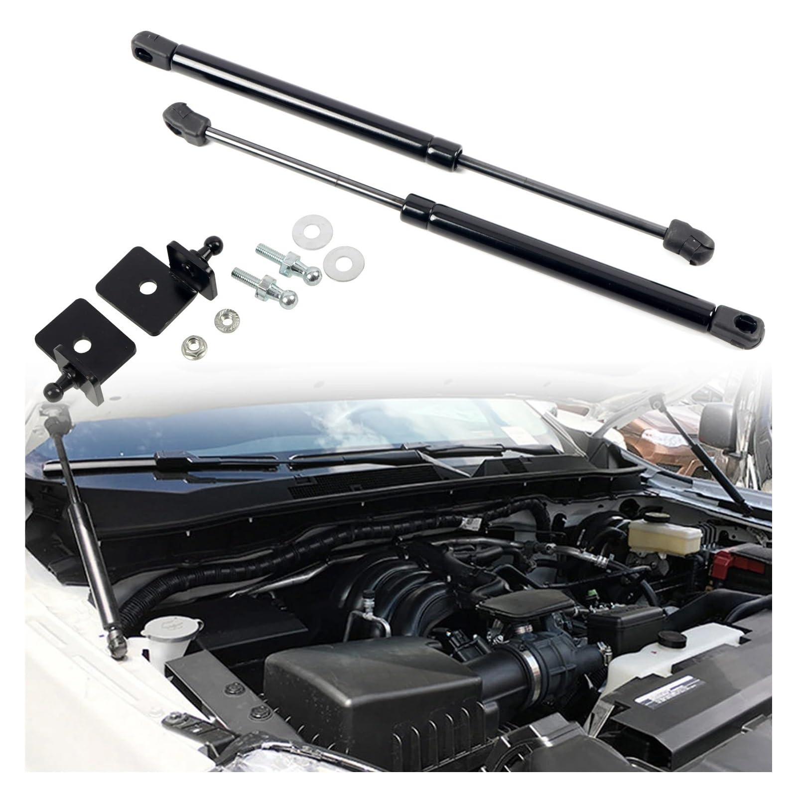 Motorhauben Gasfeder Für Ford Für Ranger 2015 2016 2017 2018-2019 Autozubehör Edelstahl Front Motorhaube Lift Unterstützung Stoßdämpfer Streben 1 Set Gasdruckfeder Motorhauben Gasfeder Für Ford Für Ranger 2015 2016 2017 2018-2019 Autozubehör Edelstahl Front Motorhaube Lift Unterstützung Stoßdämpfer Streben 1 Set Gasdruckfeder von MINIKS