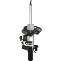 Stoßdämpfer MONROE C2505L Stoßdämpfer MONROE C2505L von Monroe
