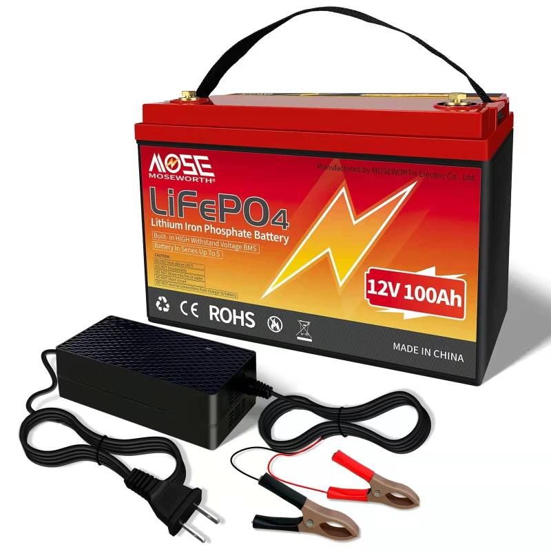 Lifepo4 100Ah 12V Akku, 1280wh Lithium Batterie Wohnmobil, In Reihe BMS-Schutz, 10 Jahre Lebensdauer Ersetzt AGM oder Gel Autobatterie für Wohnmobil, Boot, Camping oder Solaranlage - mit ladegerät von MOSEWORTH