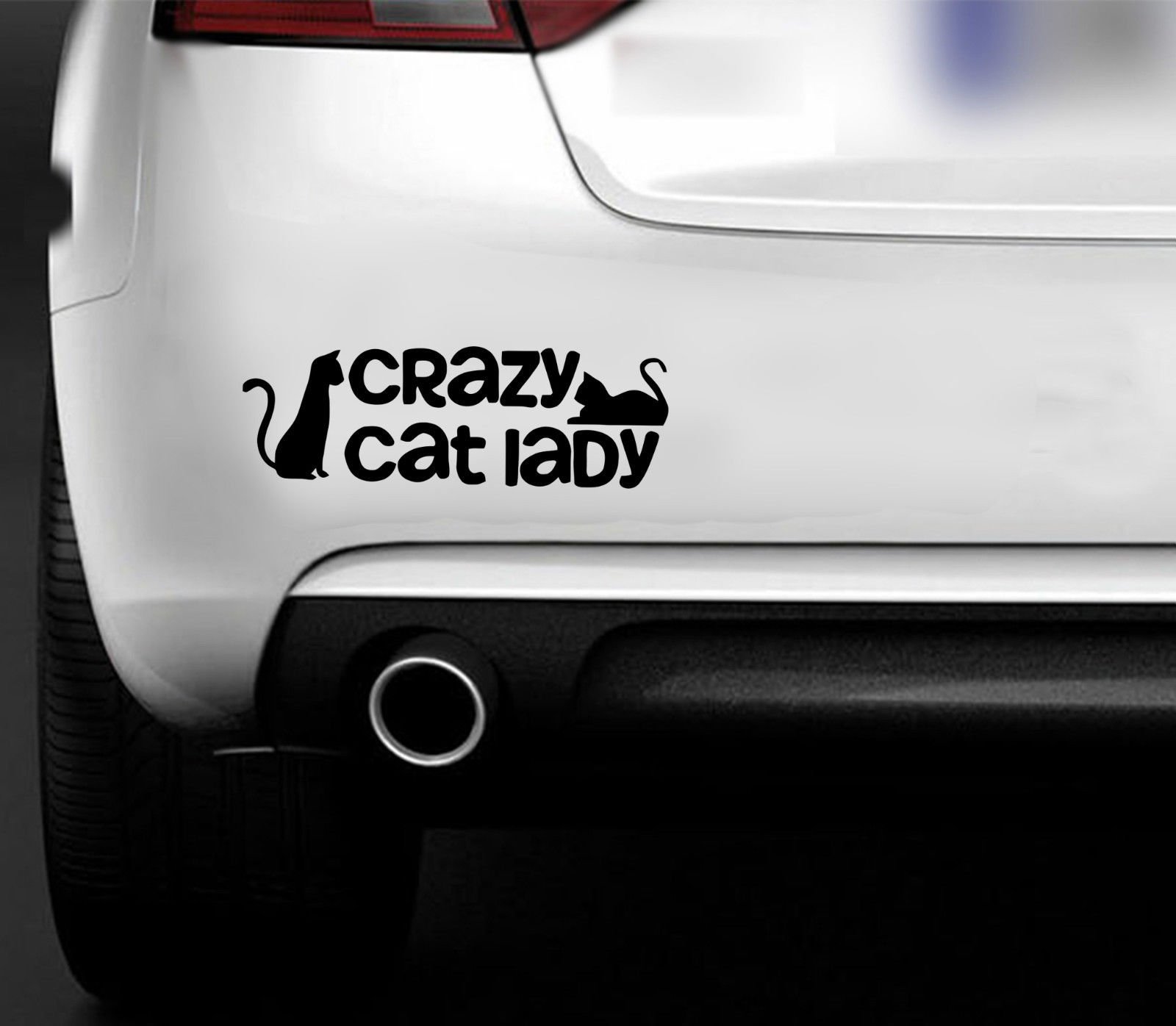Lustiges Vinyl-Fensterklebebild mit Motiv „Crazy Cat Lady“, für Autos, Transporter, Boote, Hobby von MR WHEEL TRIMS