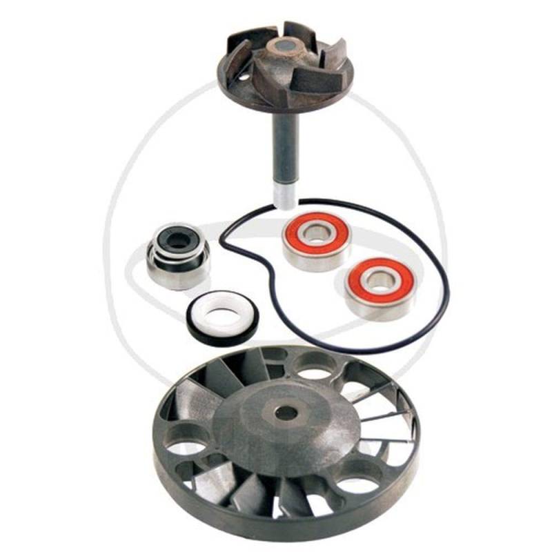 RMS 100110070 Wasserpumpenreparatursatz für Piaggio 125/180/200 CCM 4T Motoren von RMS