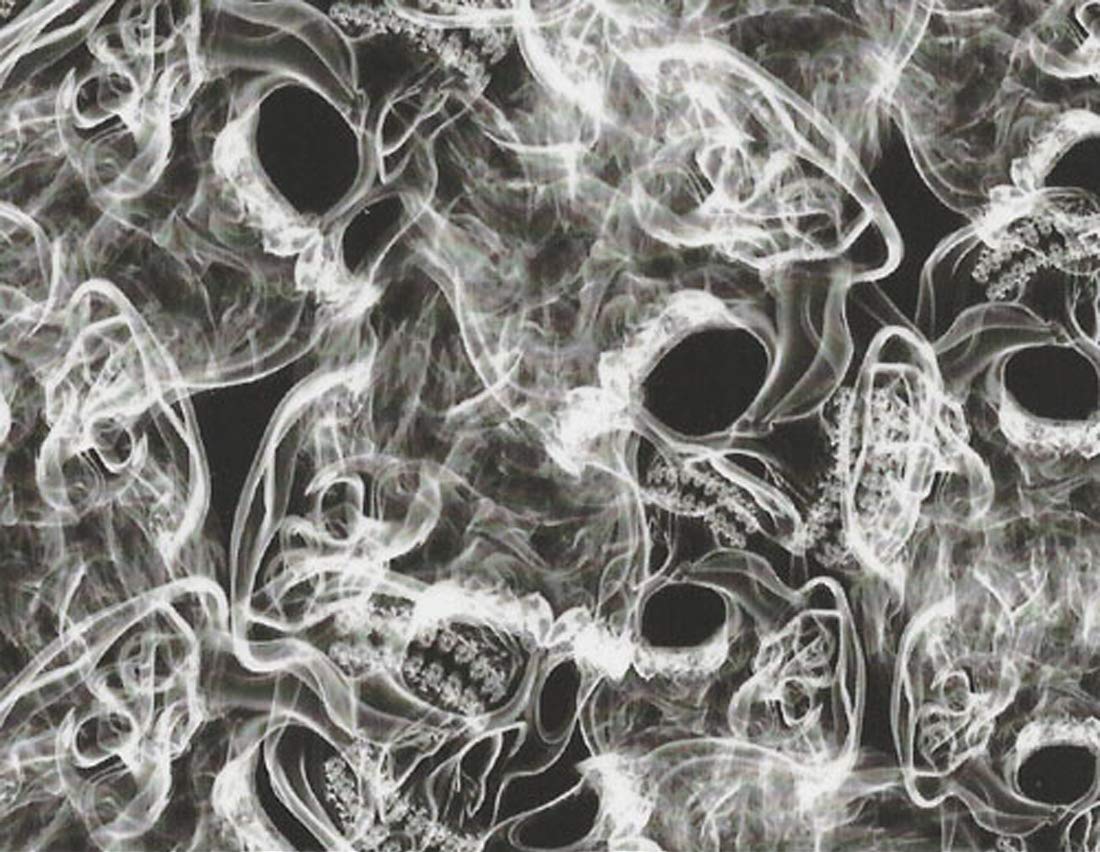 MST-DESIGN Wassertransferdruck Folie I CA-R-065 Totenköpfe Skulls schwarz I 5 Meter Film in 50 cm Breite I I Wassertransferdruckfilm WTP Water Transfer Printing Hydrographics MST-DESIGN Wassertransferdruck Folie I CA-R-065 Totenköpfe Skulls schwarz I 5 Meter Film in 50 cm Breite I I Wassertransferdruckfilm WTP Water Transfer Printing Hydrographics von MST-DESIGN