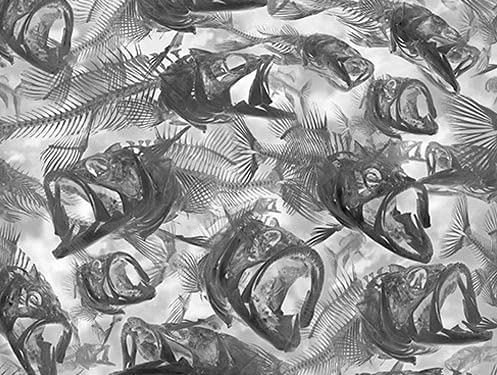 MST-DESIGN Wassertransferdruck WTD Fischgräten Fish Fische CA-R-050 1 m 100 cm Breite Film/Wassertransferdruckfilm WTP Water Transfer Printing Hydrographics von MST-DESIGN