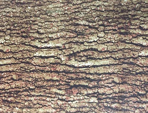 MST-Design Wassertransferdruck Folie I Starter Set Klein I WTD Folie + Dippdivator/Aktivator + Zubehör I 4 Meter mit 50 cm Breite I Camouflage Real Tree I CA-R-004 MST-Design Wassertransferdruck Folie I Starter Set Klein I WTD Folie + Dippdivator/Aktivator + Zubehör I 4 Meter mit 50 cm Breite I Camouflage Real Tree I CA-R-004 von MST-DESIGN