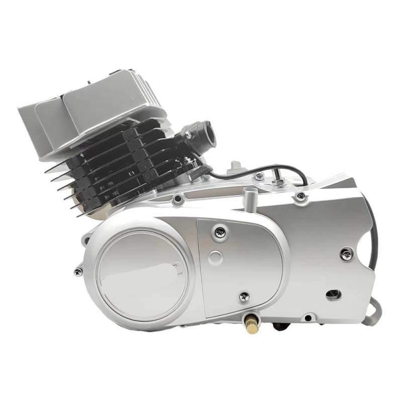 AX100 2-Takt-100-cm³-Motor im Werksverkauf Kompletter Motorsatz, kompatibel mit AX100 und ähnlichen Modellen von MTGUIWF