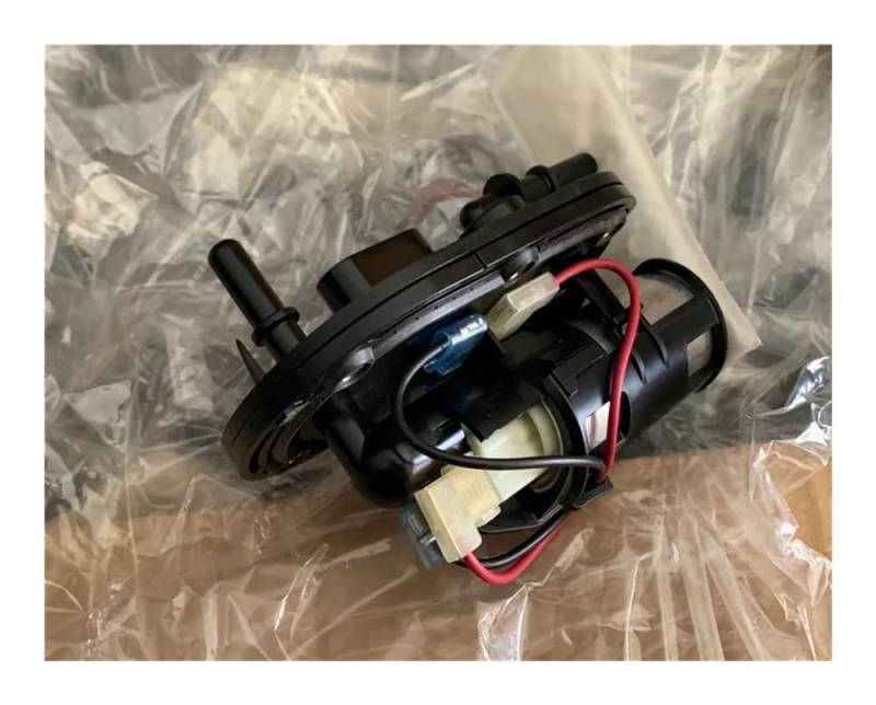 Kraftstoffpumpenbaugruppe Kompatibel mit 250ccm 200 Motorradmotoren kompatibel mit ZS250GY-3 RX3 ZS200-51 RX1 ZS 200-51 Modelle EFI-Teile des Benzinöl-Kraftstoffsystems von MTGUIWF