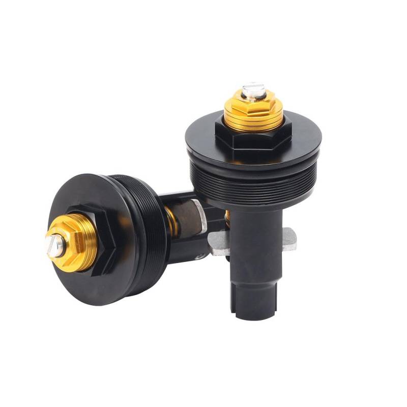 LANBAO Vorspannung Gabelkappen Für Yamaha YZF R1 2004 2005 2006 5VY-23111-00-00 Einstellbare Gabelschrauben Schwarz Gold von MTOP RACING