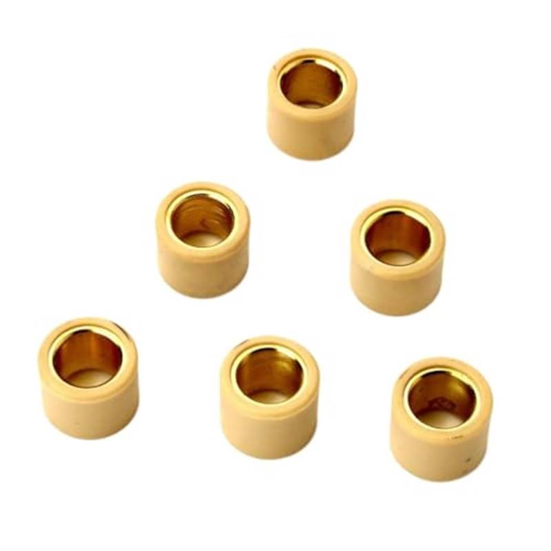 MUEOSI Beverly Carnaby Mp3 X7 X8 Eu3 X9 Evolution 250cc 300cc Kompatibel mit Rollengewichten 6PC 13g 21x17mm Roller Variomatik Rollengewichte von MUEOSI
