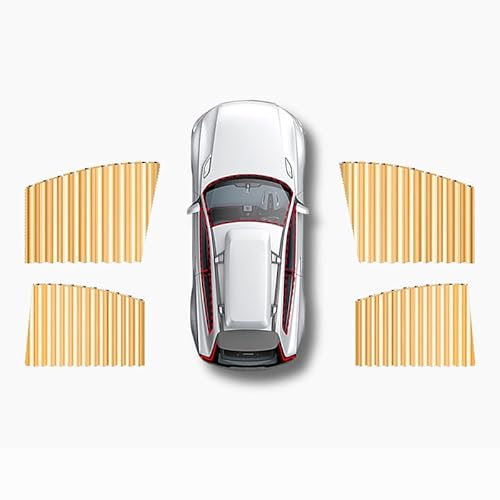 MXQCLSA Auto Sonnenschutz, Für Renault Modus Grand Modus 2004-2012 Auto Sonnenschutz Vorhänge Auto Sonnenschutz Auto Vorhang Sichtschutz Abnehmbare Haken,C MXQCLSA Auto Sonnenschutz, Für Renault Modus Grand Modus 2004-2012 Auto Sonnenschutz Vorhänge Auto Sonnenschutz Auto Vorhang Sichtschutz Abnehmbare Haken,C von MXQCLSA