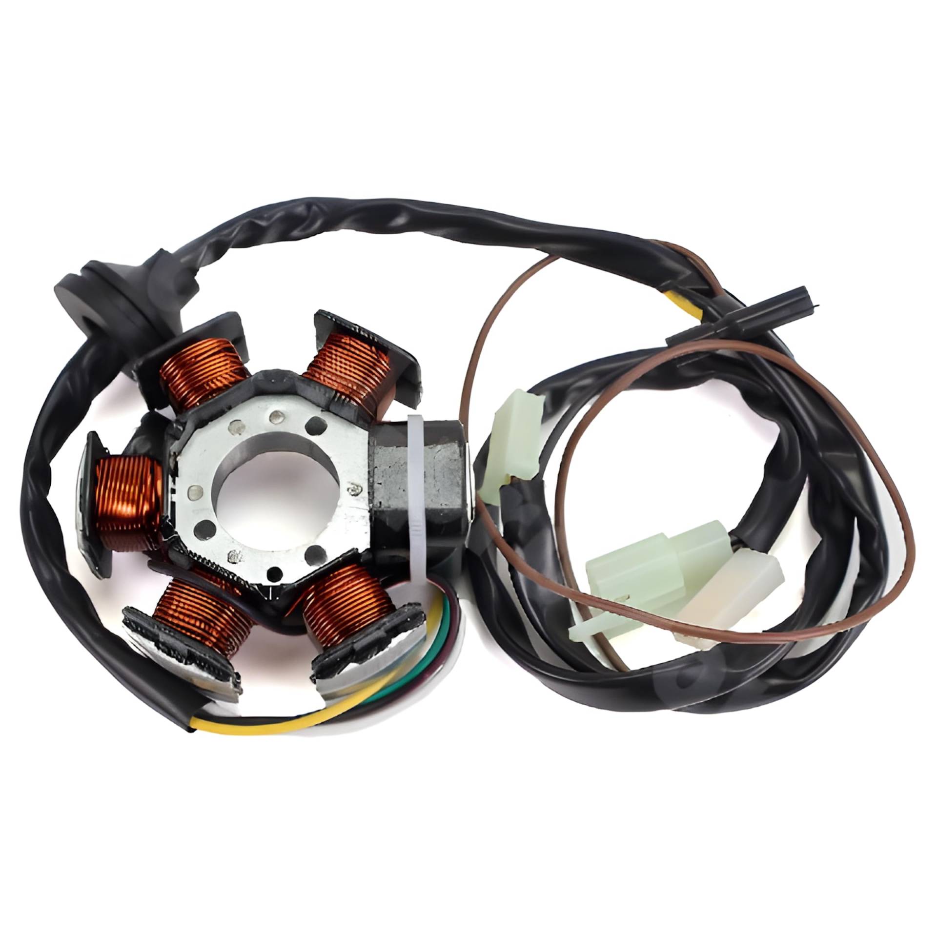 Lichtmaschine Stator TNT, 78201800 für Malaguti F12 Phantom LC 50 ccm Bj. 2000 Lichtmaschine Stator TNT, 78201800 für Malaguti F12 Phantom LC 50 ccm Bj. 2000 von MXT