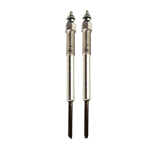 Autoteil 23 V Glühkerzen 8976000960 für NPR NQR NRR NPR-HD 4HK1 5.2L Motor 8-97600-096-0 4HL1 4HJ1 8-94390777-6 (2 Stück) von MYSHIYB