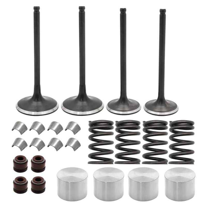 Mabutingti Einlass Auslass Motorventil Kit für Suzuki Quadsport 400 Z400 LTZ 400 2003-2014 von Mabutingti