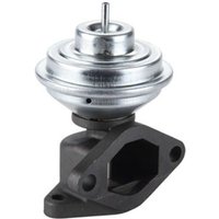 AGR Ventil MAGNETI MARELLI 571822112135 AGR Ventil MAGNETI MARELLI 571822112135 von Magneti Marelli