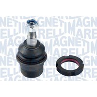 Befestigungsbolzen, Querlenker MAGNETI MARELLI 301191618870 von Magneti Marelli