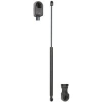 Gasfeder, Koffer-/Laderaum MAGNETI MARELLI 430719008000 Gasfeder, Koffer-/Laderaum MAGNETI MARELLI 430719008000 von Magneti Marelli