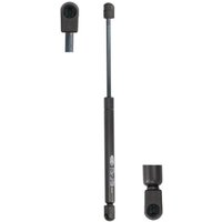 Gasfeder, Koffer-/Laderaum MAGNETI MARELLI 430719030100 Gasfeder, Koffer-/Laderaum MAGNETI MARELLI 430719030100 von Magneti Marelli