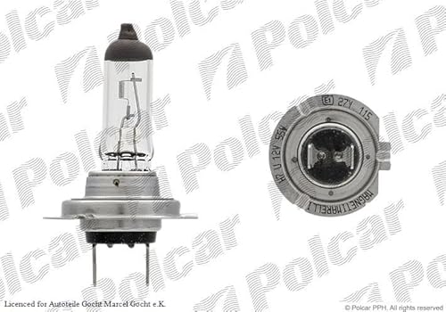 Glühlampe Glühbirne H7 Kompatibel mit Audi 2019-2022 von Autoteile Gocht von Magneti Marelli