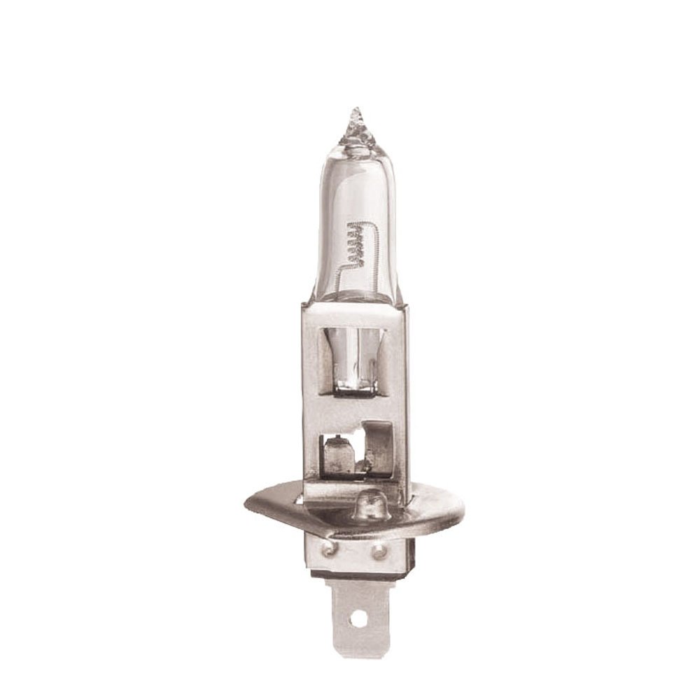 Magneti Marelli 002587100000 Glühlampen H1 12V 55W light +50% Magneti Marelli 002587100000 Glühlampen H1 12V 55W light +50% von Magneti Marelli