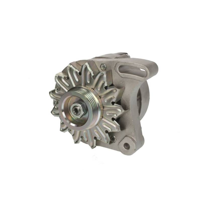 Magneti Marelli 71721142 Lichtmaschine von Magneti Marelli