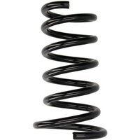 Fahrwerksfeder MAGNUM TECHNOLOGY SV069MT Fahrwerksfeder MAGNUM TECHNOLOGY SV069MT von Magnum Technology