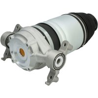 Luftfeder, Fahrwerk MAGNUM TECHNOLOGY MZW004MT Luftfeder, Fahrwerk MAGNUM TECHNOLOGY MZW004MT von Magnum Technology