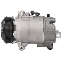 Klimakompressor MAHLE ACP 178 000P Klimakompressor MAHLE ACP 178 000P von Mahle