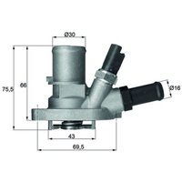 Thermostat, Kühlmittel BEHR MAHLE TI 149 88 von Mahle