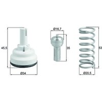 Thermostat, Kühlmittel BEHR MAHLE TX 182 87D von Mahle