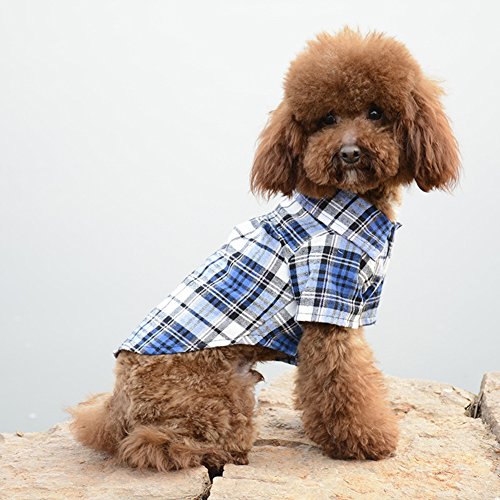 Hunde Kleider Haustiere Dekoration Sonnenschutz Modische Casual Plaid Shirt Gute Geschenke für Hunde S-XL (M, blau) von Maibar